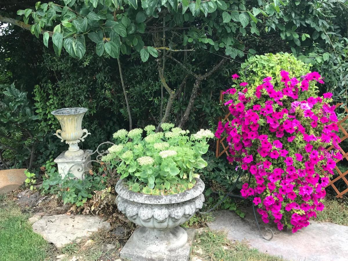 Viktoria House Villa Balatonszarszo Kültér fotó