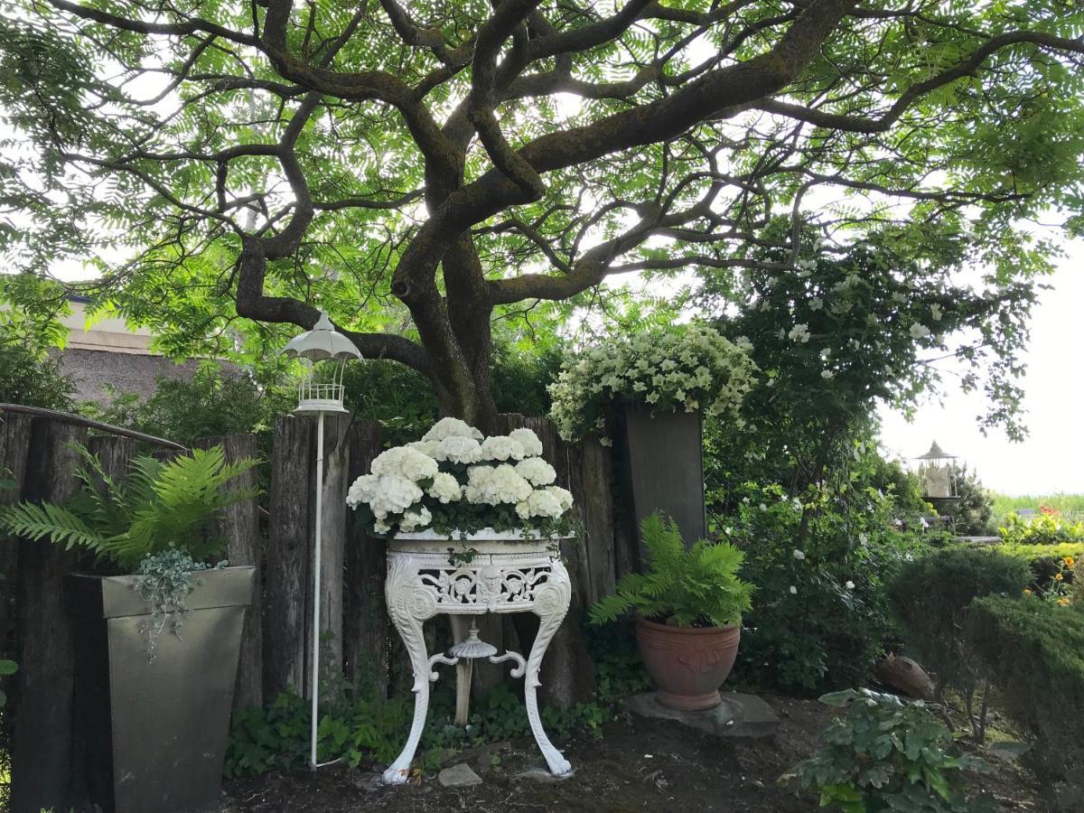 Viktoria House Villa Balatonszarszo Kültér fotó